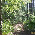 2012-May-05_HGR4X4_Richloam 191